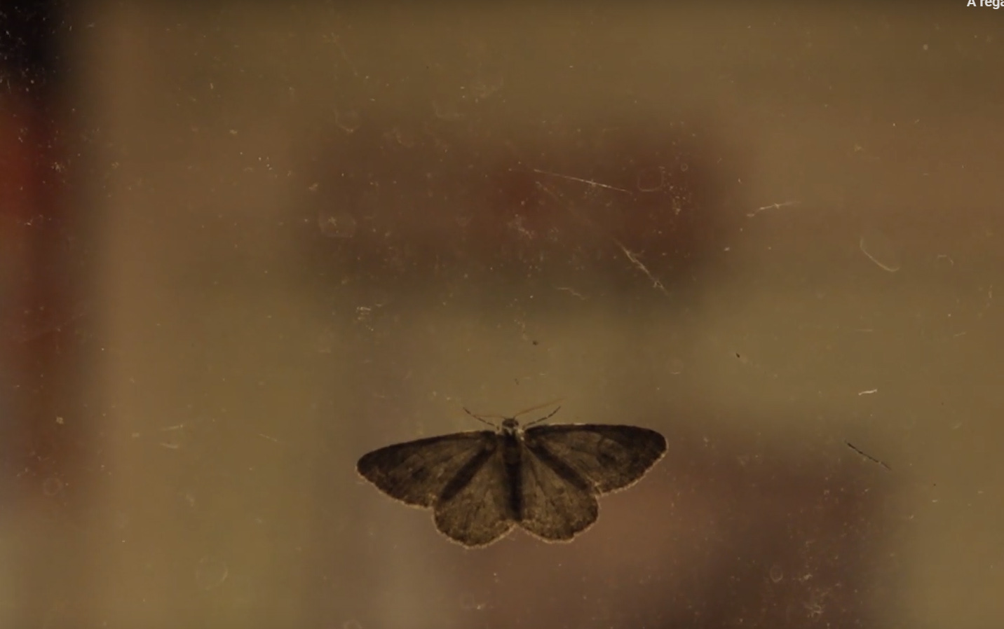 Couverture du film Tijd die ons rest, De