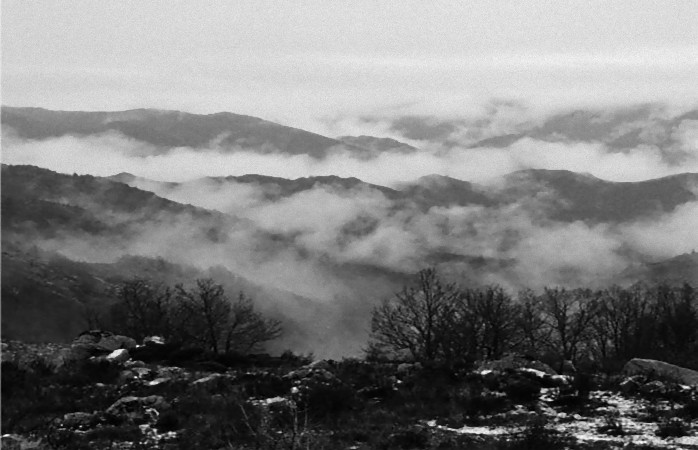 Couverture du film Les Tourmentes