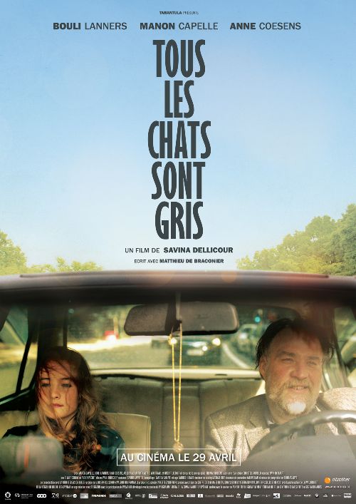 Couverture du film Tous les chats sont gris