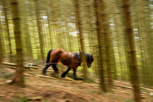 Couverture du film Traces de Sébastien Pins