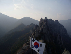 Couverture du film Un aller simple