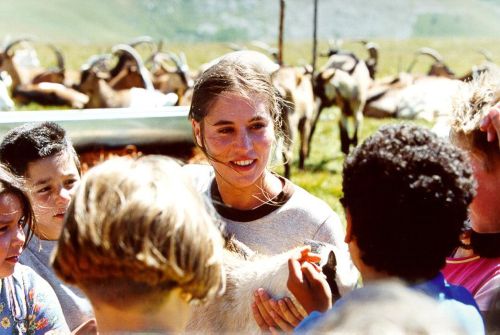 Couverture du film Une hirondelle a fait le printemps