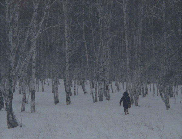 Couverture du film Une histoire de cheveux (Sibérie)