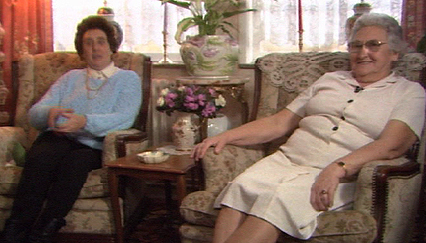 Couverture du film Une mouche dans la salade