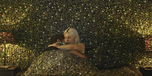 Couverture du film Une vie démente