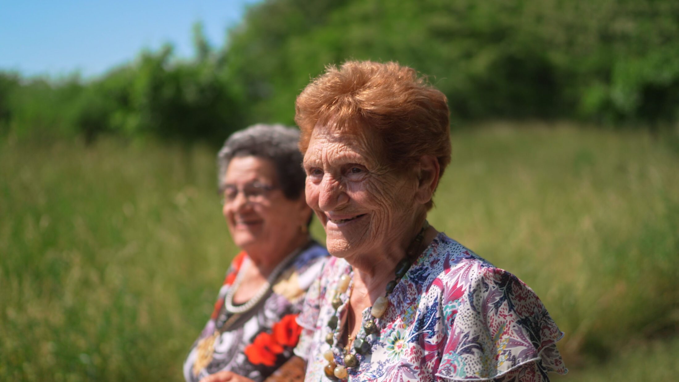 Couverture du film Veuves !