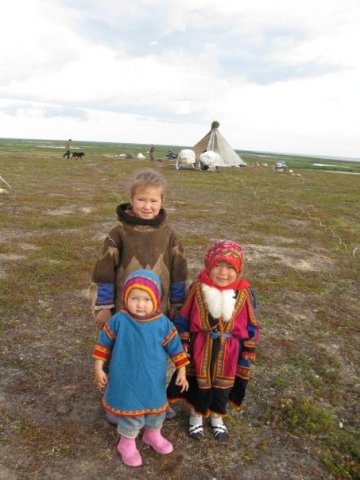 Couverture du film La Voix de la toundra