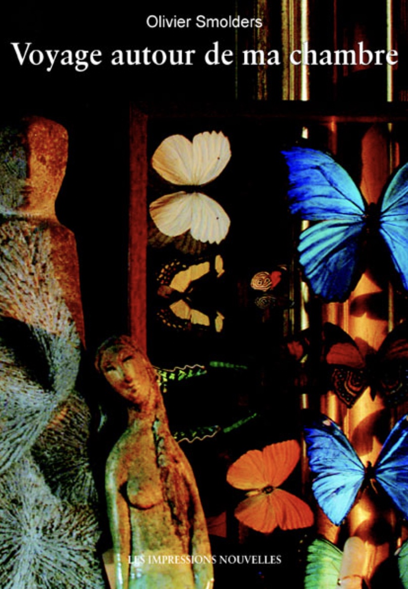 Couverture du film Voyage autour de ma chambre