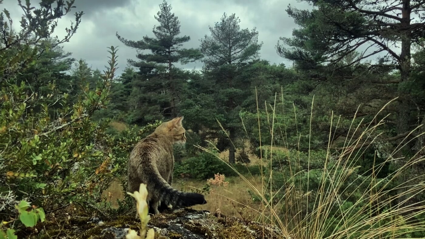 Couverture du film We had fun yesterday