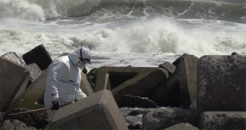 Couverture du film Welcome to Fukushima