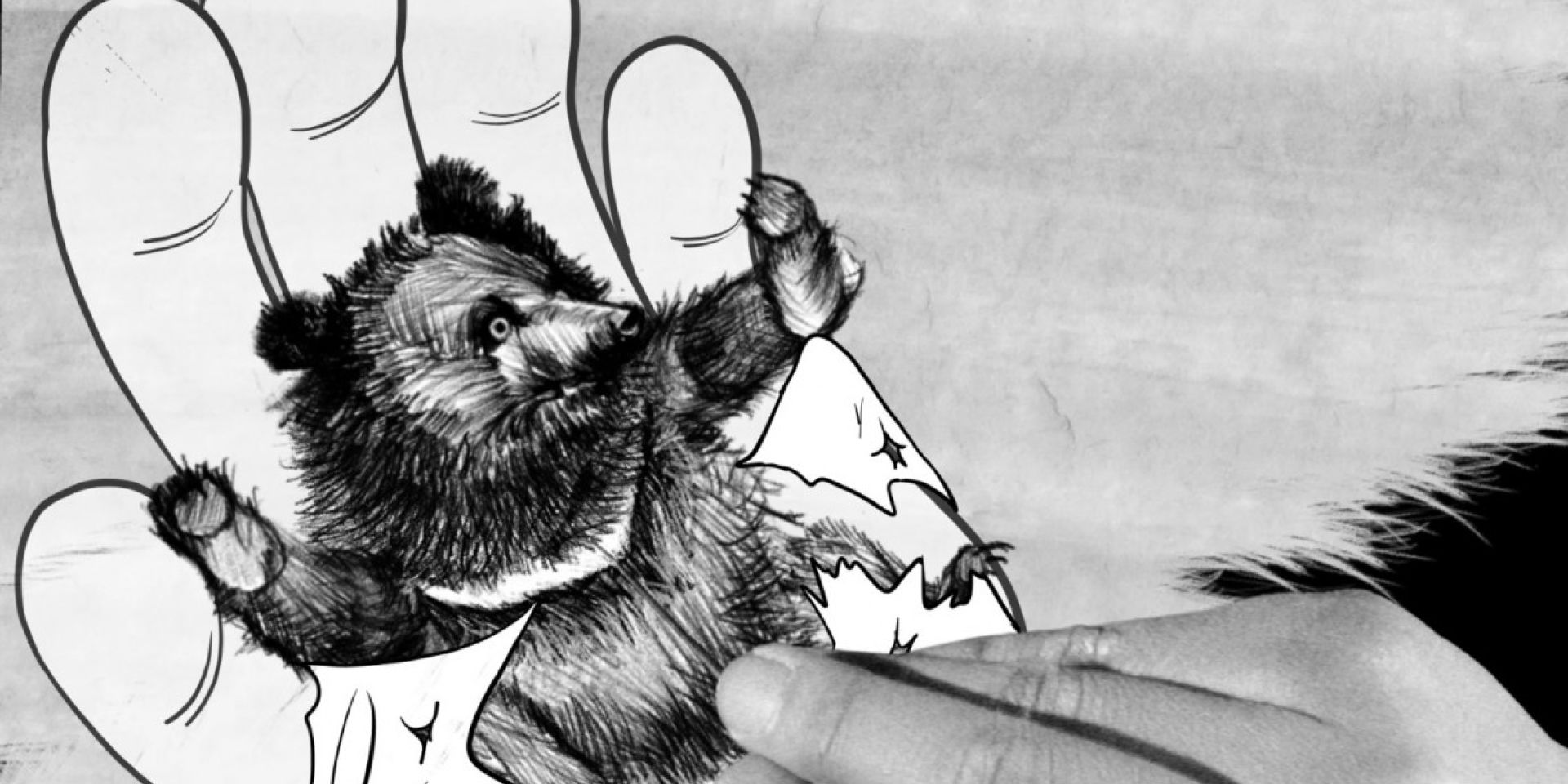 Couverture du film What Are You Looking At ?