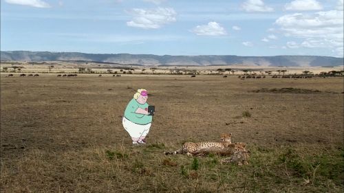 Couverture du film Wildbeest