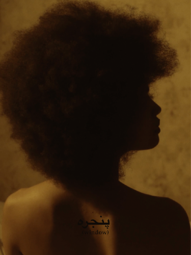 Couverture du film Window