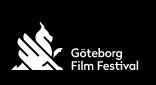 Photo Film Festival de Göteburg