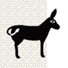 Photo de profile de Komplot