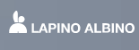 Photo Lapino Albino