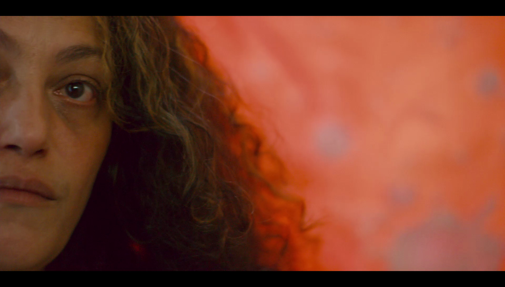 Photo de profile de Lili Forestier