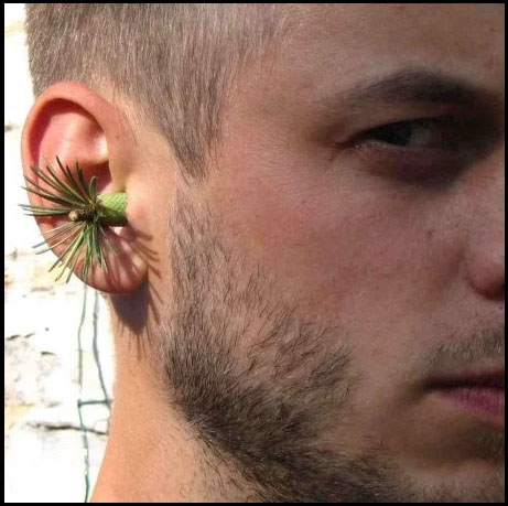 Photo de Ruben Nachtergaele