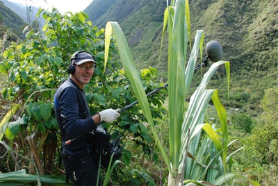 Photo de profile de Omar Perez