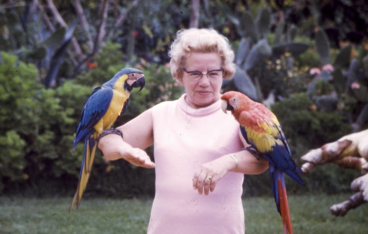 Photo de profile de Xavier Pique